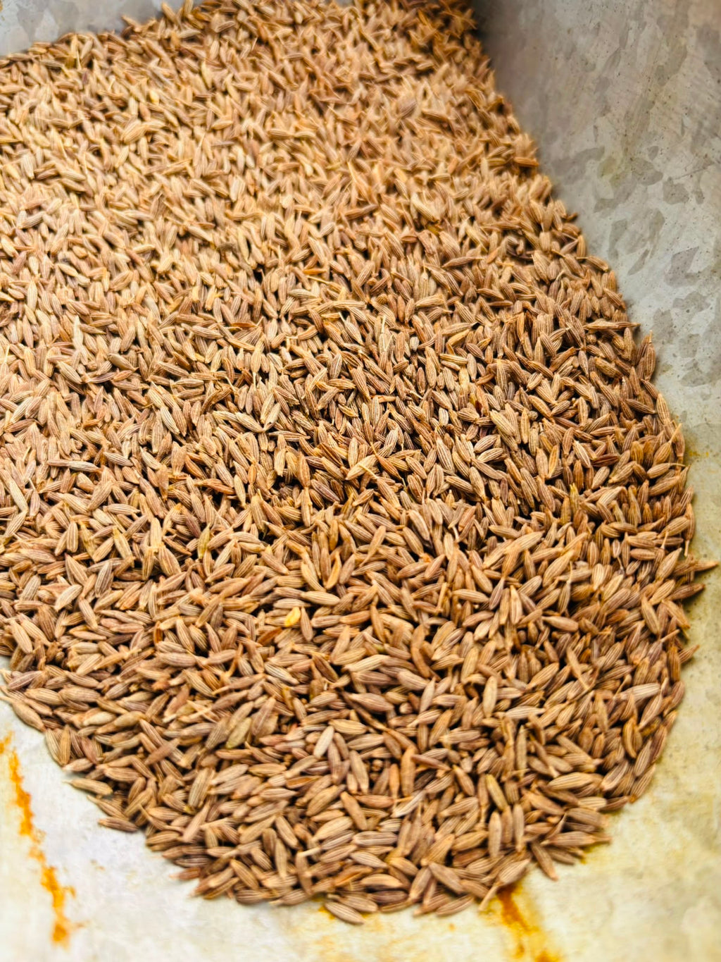 Premium Whole Cumin Seeds (Jeera)